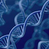 Test de Ancestros analizado por EGO Genomics en Barcelona  Genotica