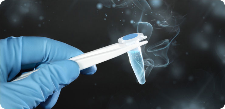 Transferencia de embriones congelados: todo lo que debes saber